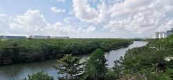 Kingsford Waterbay (D19), Apartment #605811281